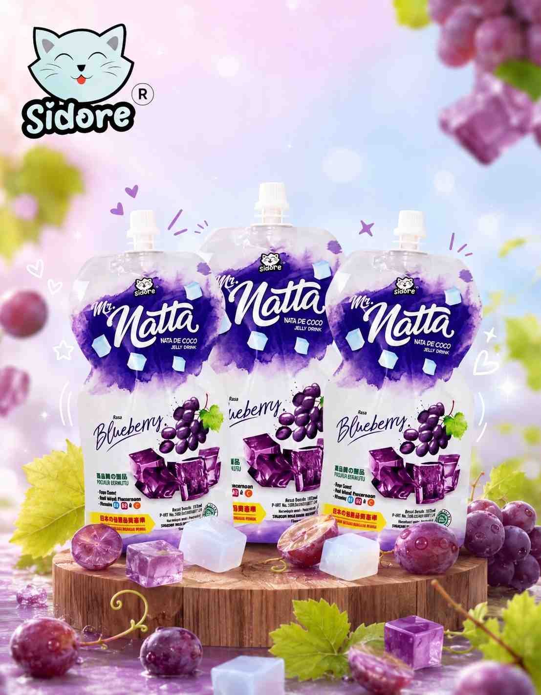 SIDORE MR NATA BLUEBERRY ( 10 x 120ml )